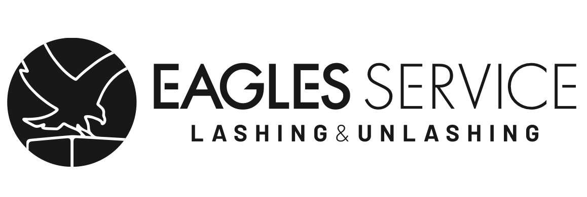 Platinum Sponsor 3