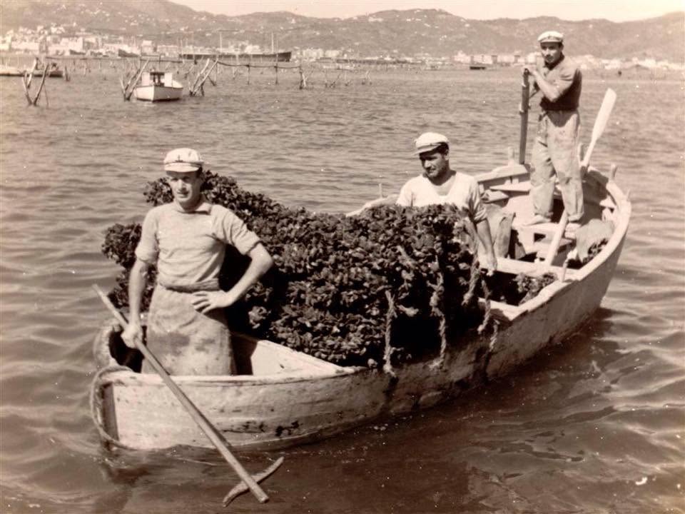 La Borgata dei muscolai