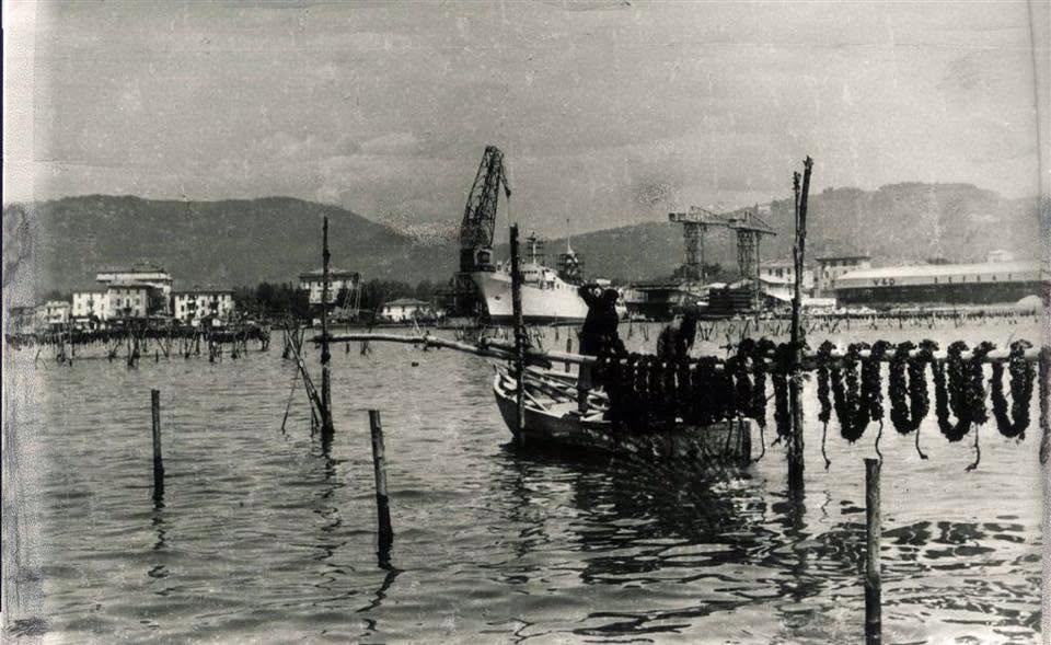 Il Canaletto e il suo mare